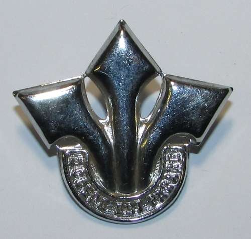 SADF - Corps of Professional Officers Cap Badge