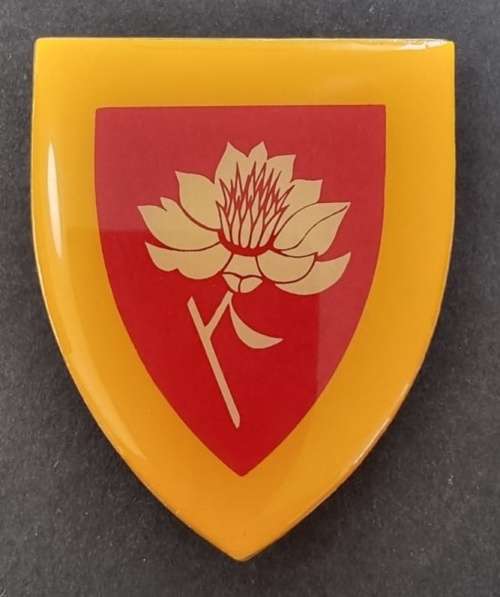 SADF - Womans College Shoulder Flash