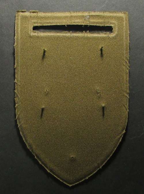 SADF - 44 Parachute Brigade Echo Company Shoulder Flash