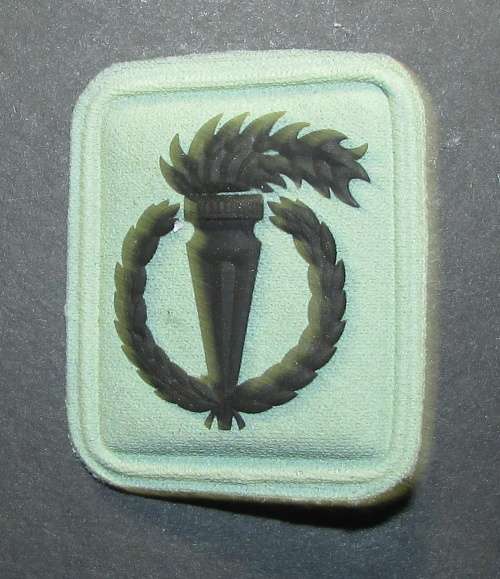 SA Army - 44 Parachute Brigade Pathfinder Breast Badge