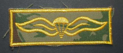 SA Police Basic Parachute Wing