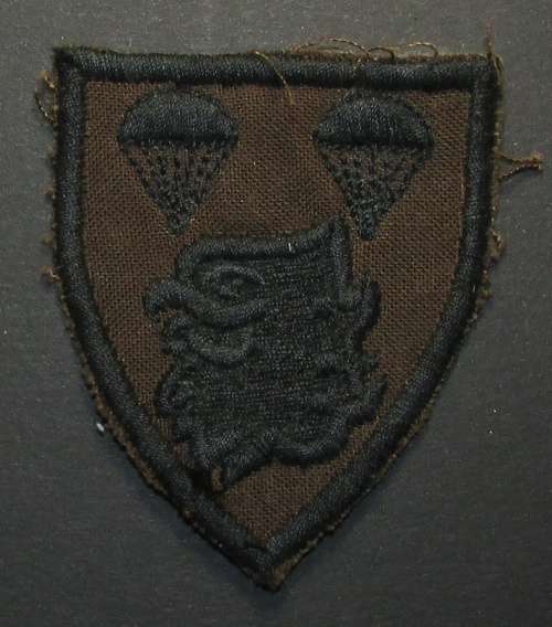 SADF - 2 Parachute Battalion Nutria Patch Badge