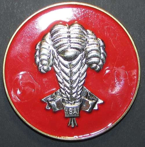 SADF - 1 SA Infantry Battalion Challenge Coin