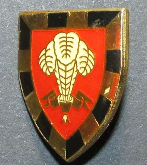 SADF - 1 SA Infantry Battalion Fob Flash