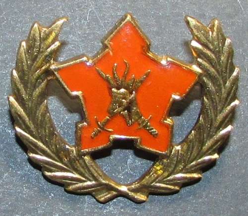 SADF - 5 Years Voluntary Service Breast Badge