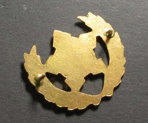 SADF - 5 Years Voluntary Service Breast Badge