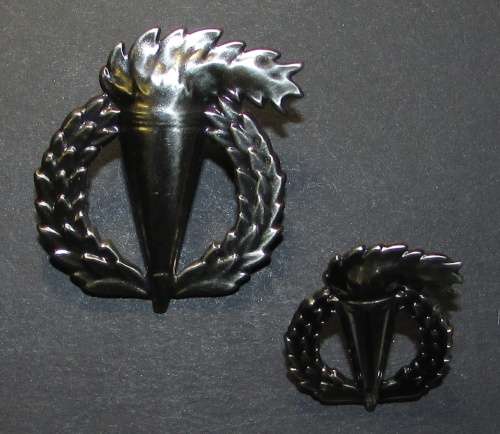 SADF  - Pathfinder Proficiency Badges ( Full Size and Mess Dress )