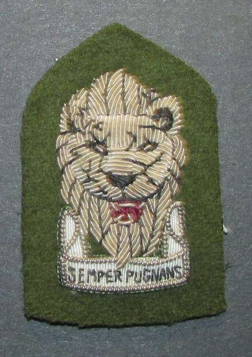 SADF - South West Africa Territory Forces (SWATF) Reaction Force Senior Officers Beret Badge