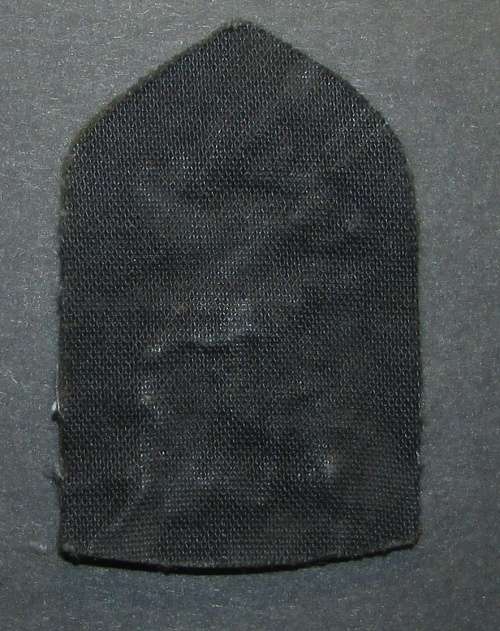 SADF - South West Africa Territory Forces (SWATF) Reaction Force Senior Officers Beret Badge