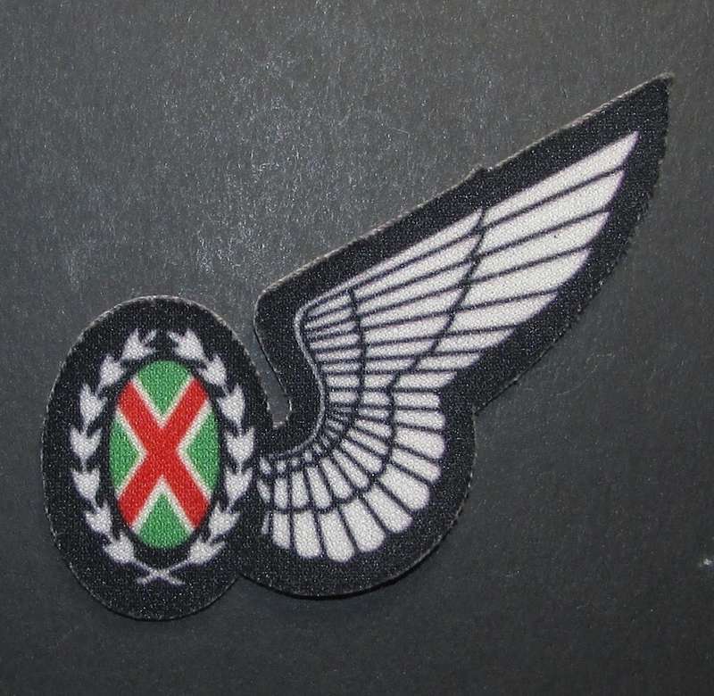 SADF - Air Force Half Wing
