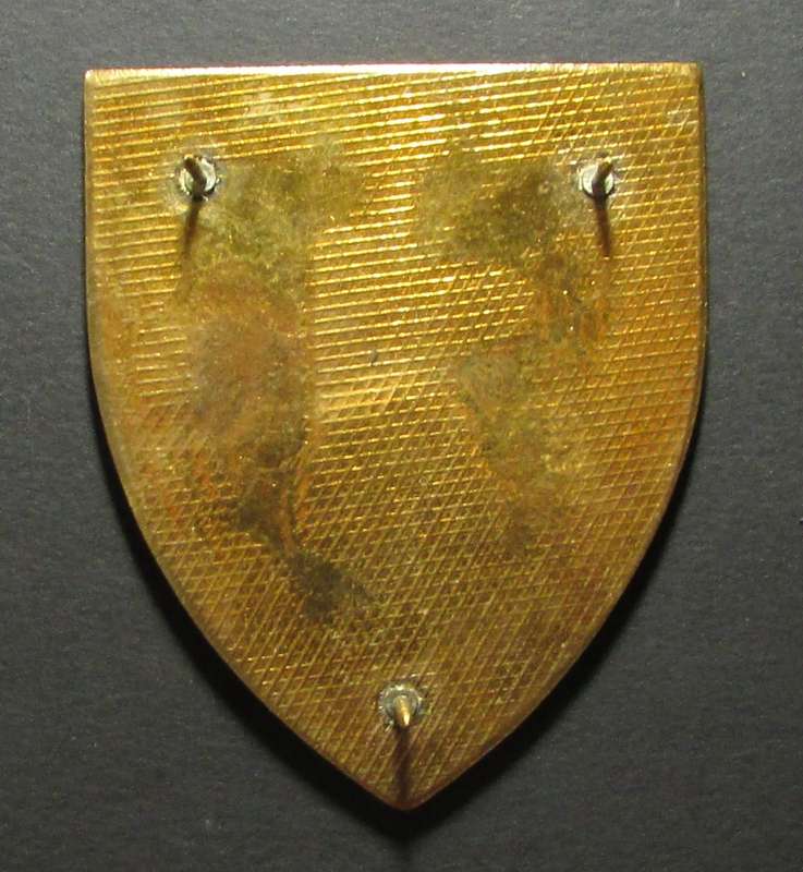 SADF - Army Battle School Shoulder Flash