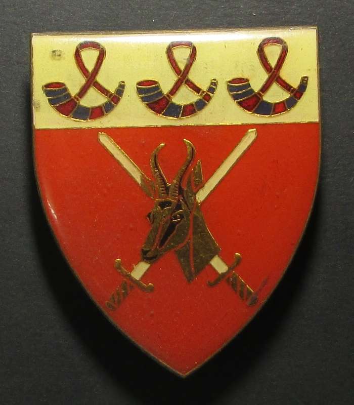 SADF - OFS Command Shoulder Flash