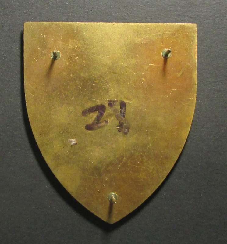 SANDF - Shoulder Flash