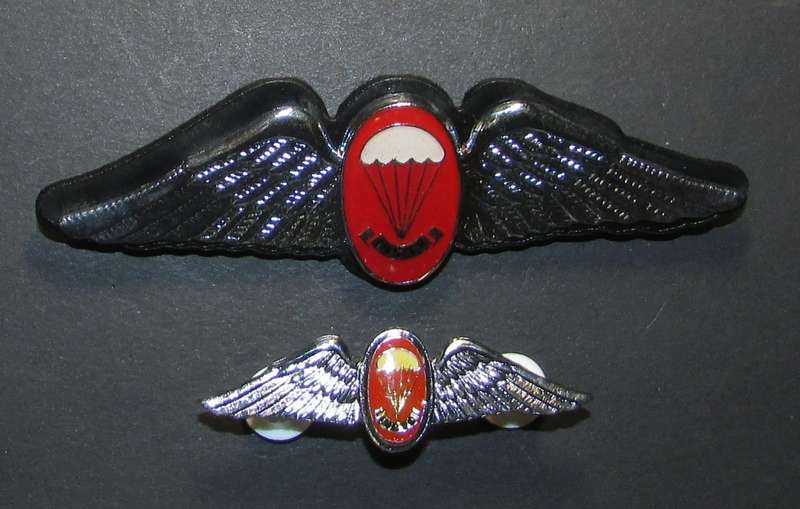 SADF - Parachute Freefall Insructor Full Size plus Mess Dress Wings