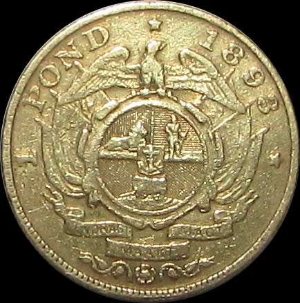 1893 Gold ZAR Pond