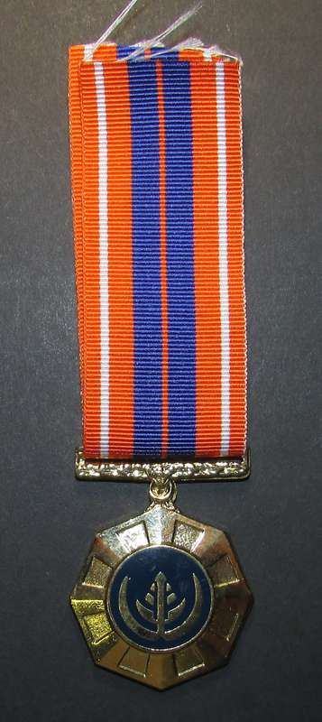 SADF - Full Size Pro Patria Medal
