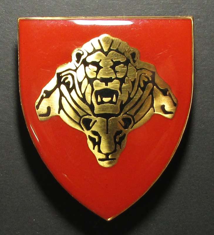 SANDF - Pride of the Nation Shoulder Flash