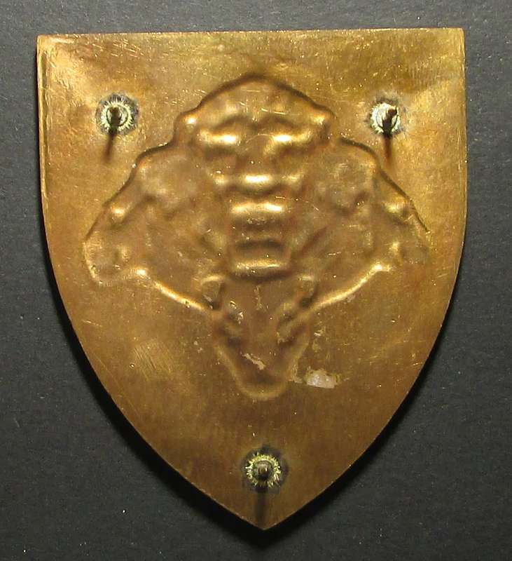 SANDF - Pride of the Nation Shoulder Flash