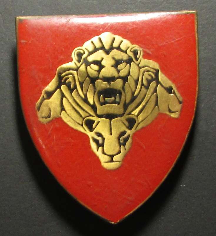 SANDF - Pride of the Nation Shoulder Flash