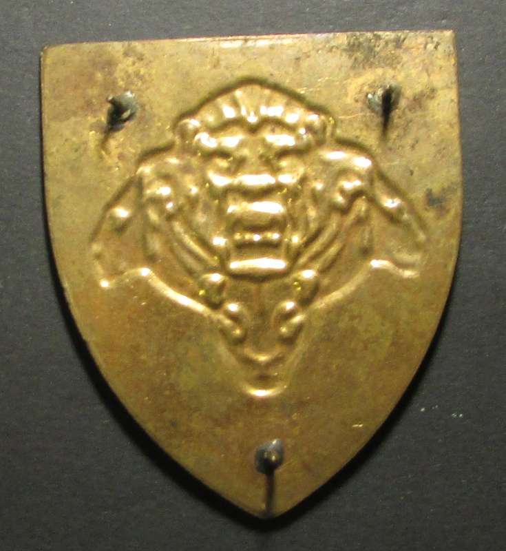 SANDF - Pride of the Nation Shoulder Flash
