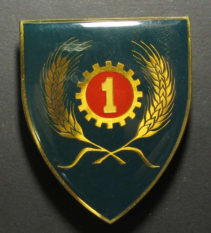 SADF - 1 Maintenance Unit Shoulder Flash