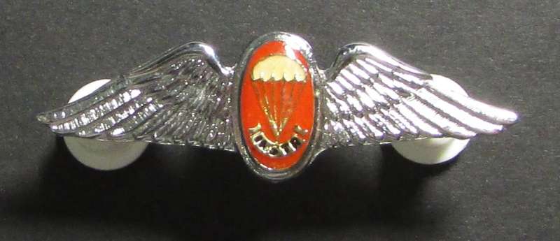 SADF - Freefall Parachute Instructor Mess Dress Wing