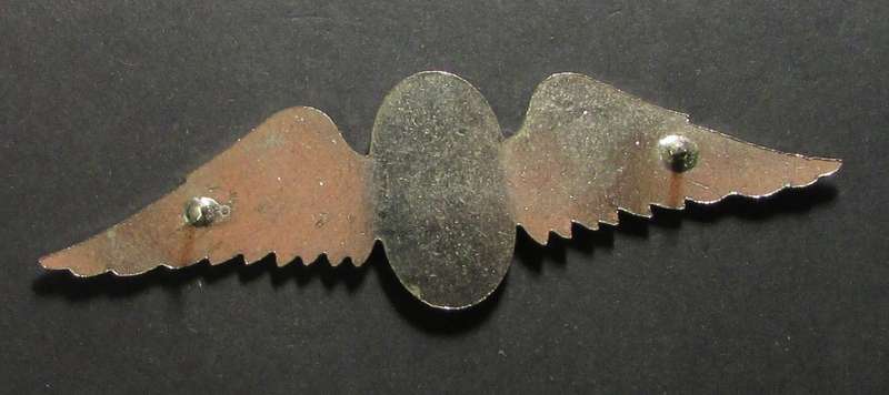 SADF - Full Size Static Line Instructor Parachute Wings
