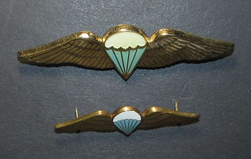 SADF - Basic Parachute Wings ( Full Size plus Mess Dress )