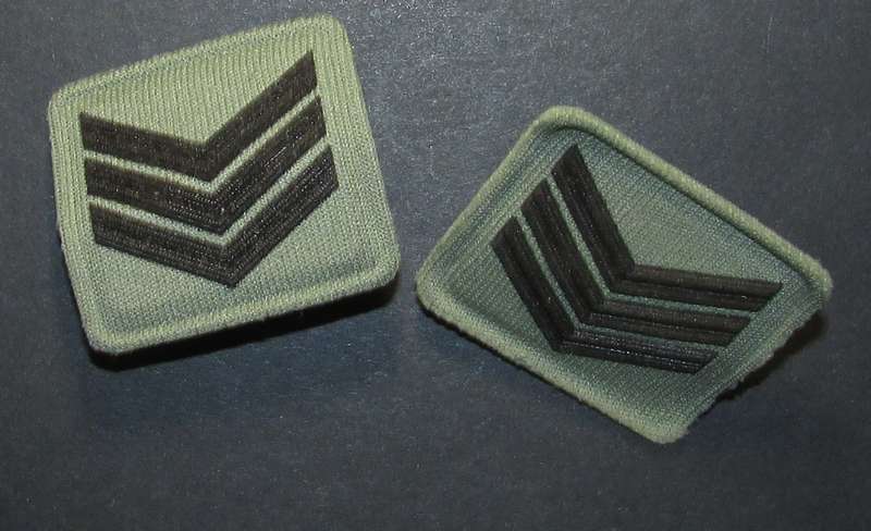 SANDF - Collar Rank Pair