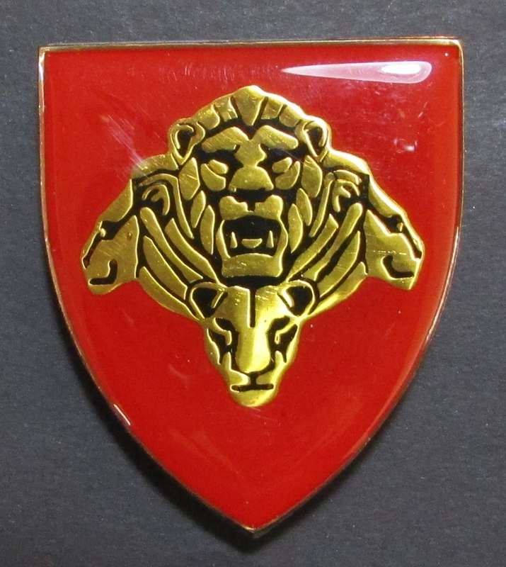 SA Army Pride of the Nation Shoulder Flash