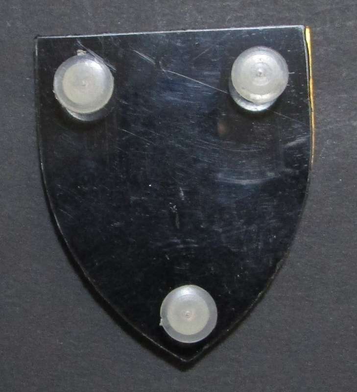 SA Army Pride of the Nation Shoulder Flash