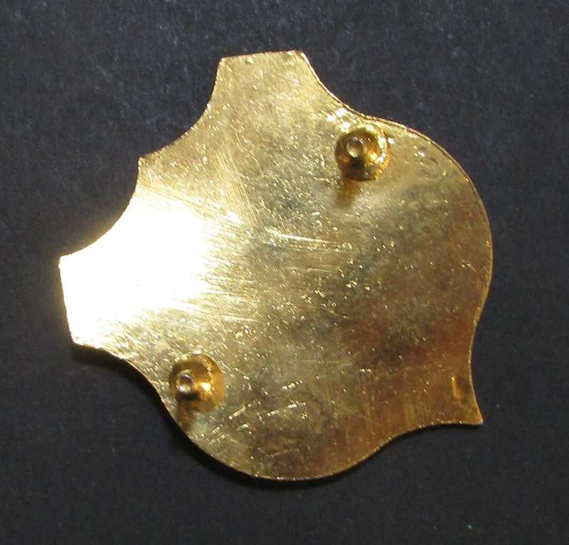 South African Traffic Police Cap Badge