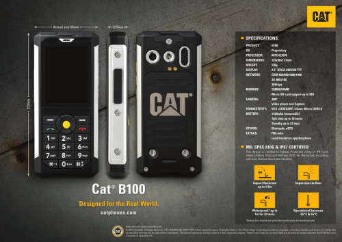 Cat B100