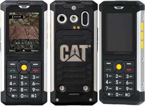 Cat B100