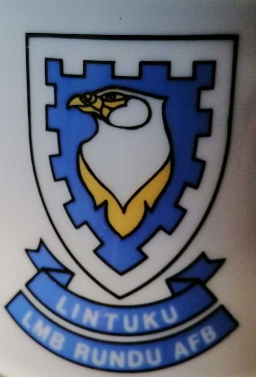 Rundu Air Force Base - Lintuku - Beer Mug and Ashtray