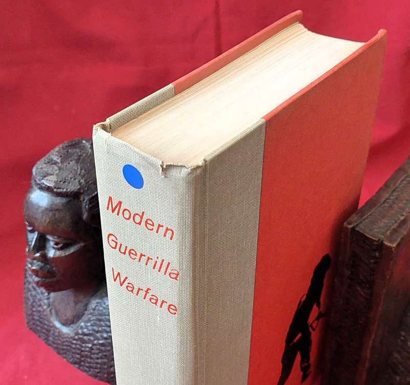 Modern Guerrilla Warfare - Franklin Mark Osanka