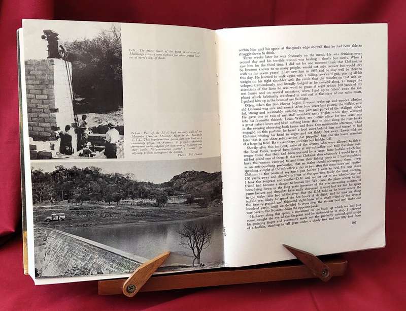 Valley of the Ironwoods - Allan Wright