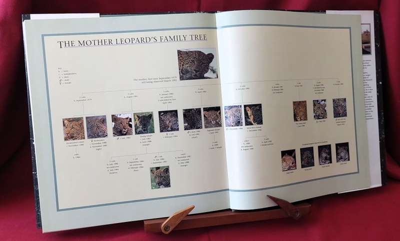 The Leopards of Londolozi ( Standard Edition) - Lex Hes