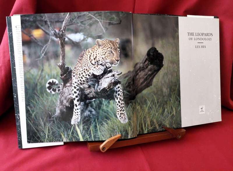 The Leopards of Londolozi ( Standard Edition) - Lex Hes
