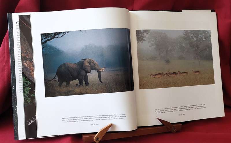 The Leopards of Londolozi ( Standard Edition) - Lex Hes
