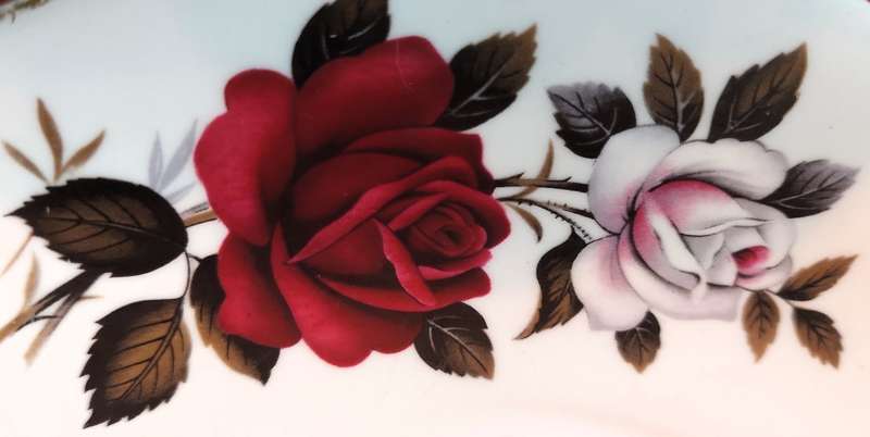 Vintage Colclough Ridgway Bone China Tea Set - Amoretta Pattern no.  7906  Floral Rose. 28pcs.