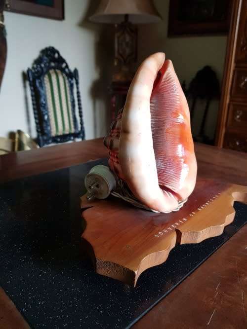 Vintage Shell Lamp Made in Marituis