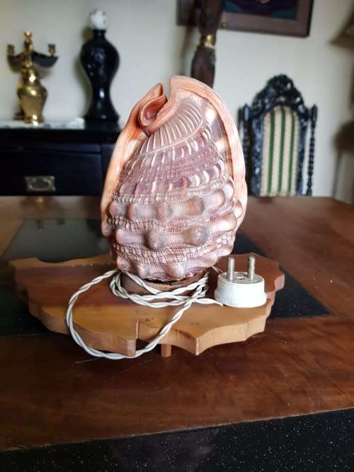 Vintage Shell Lamp Made in Marituis