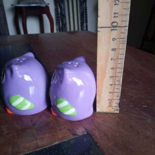 Stunning Owls Salt and Pepper Pots