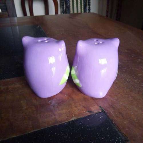 Stunning Owls Salt and Pepper Pots