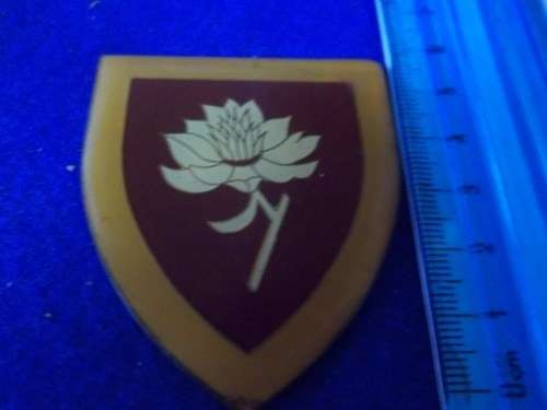 SADF - Army Women College Arm Flash - No Pins - Ex Mount