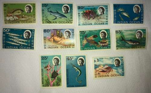 Marine life * british indean ocean