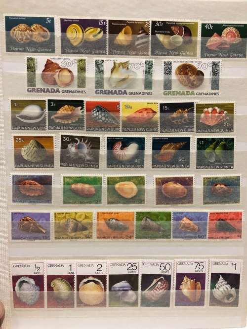 Marine life shells mint and used