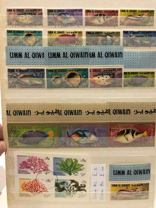 Marine life used sets and singles