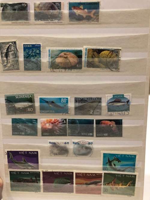Marine life used sets and singles